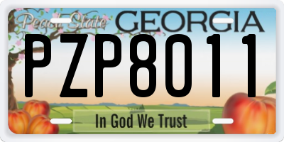 GA license plate PZP8011