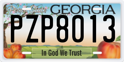GA license plate PZP8013