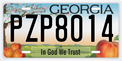GA license plate PZP8014