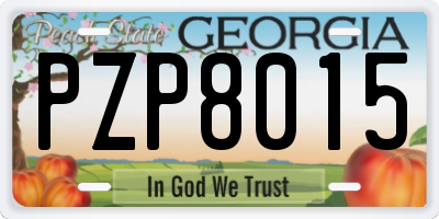 GA license plate PZP8015