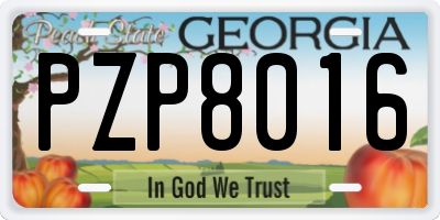 GA license plate PZP8016