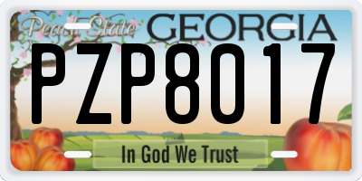 GA license plate PZP8017
