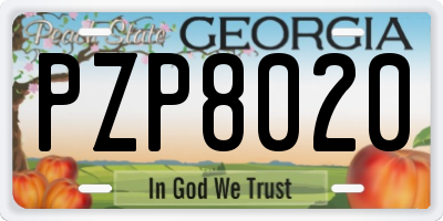 GA license plate PZP8020