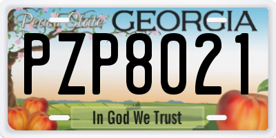 GA license plate PZP8021