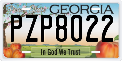 GA license plate PZP8022
