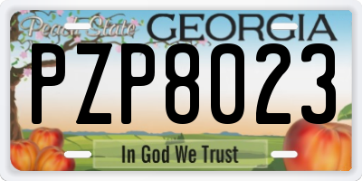 GA license plate PZP8023