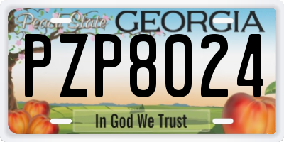 GA license plate PZP8024