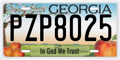 GA license plate PZP8025