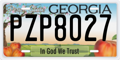 GA license plate PZP8027