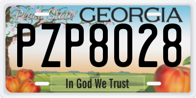 GA license plate PZP8028