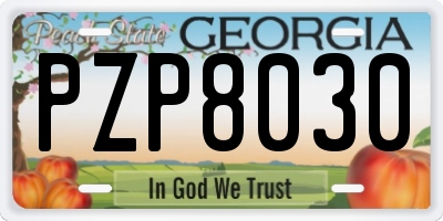 GA license plate PZP8030