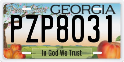 GA license plate PZP8031