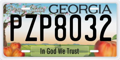 GA license plate PZP8032