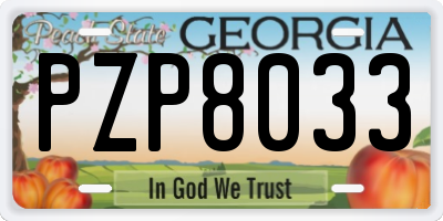 GA license plate PZP8033