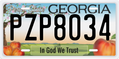 GA license plate PZP8034