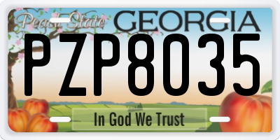 GA license plate PZP8035