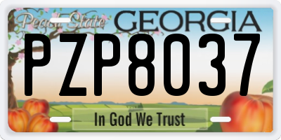 GA license plate PZP8037