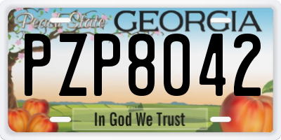 GA license plate PZP8042