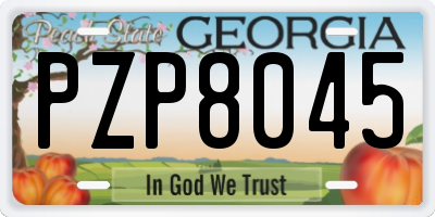 GA license plate PZP8045