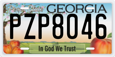 GA license plate PZP8046