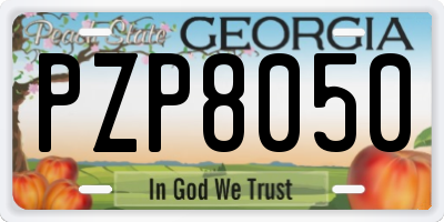 GA license plate PZP8050