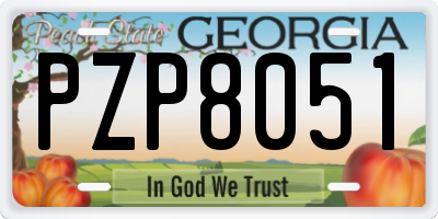GA license plate PZP8051