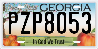 GA license plate PZP8053