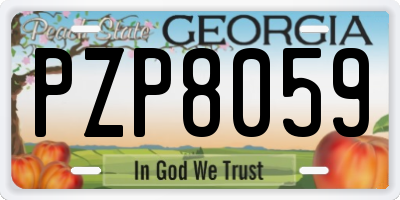 GA license plate PZP8059