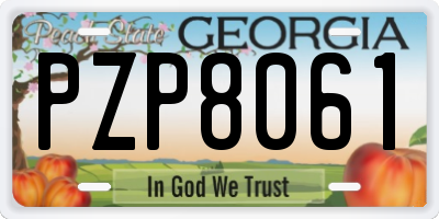 GA license plate PZP8061