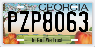 GA license plate PZP8063