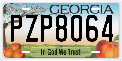 GA license plate PZP8064