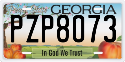 GA license plate PZP8073