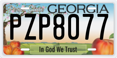 GA license plate PZP8077