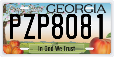 GA license plate PZP8081