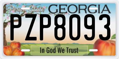 GA license plate PZP8093