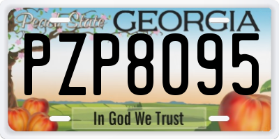 GA license plate PZP8095