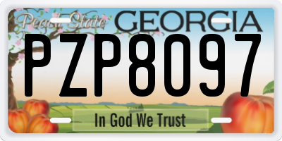 GA license plate PZP8097