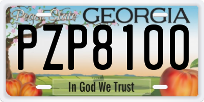GA license plate PZP8100