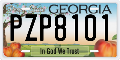 GA license plate PZP8101