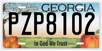 GA license plate PZP8102
