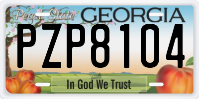 GA license plate PZP8104