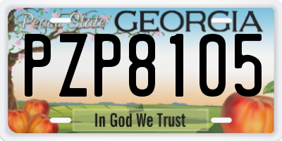 GA license plate PZP8105