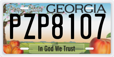 GA license plate PZP8107