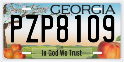GA license plate PZP8109
