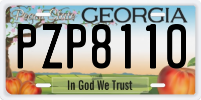 GA license plate PZP8110