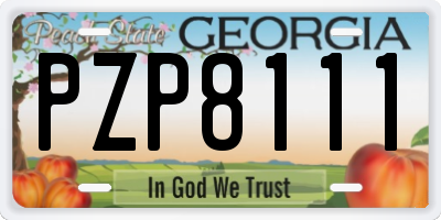 GA license plate PZP8111