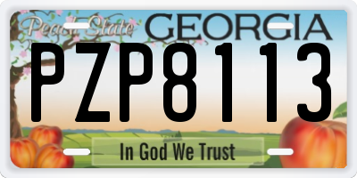 GA license plate PZP8113