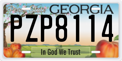 GA license plate PZP8114