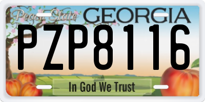 GA license plate PZP8116
