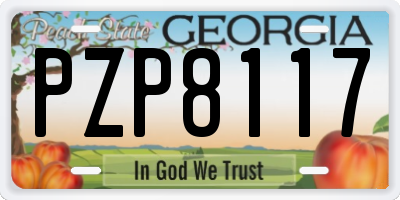 GA license plate PZP8117
